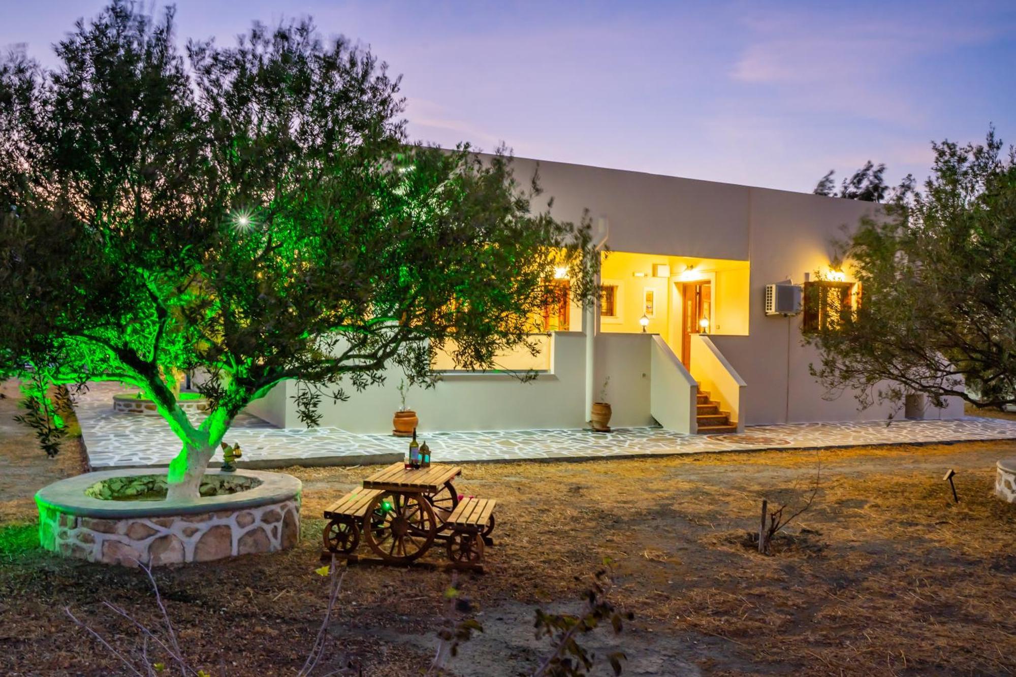 Olive Studios Karpathos Studio #4 Buitenkant foto