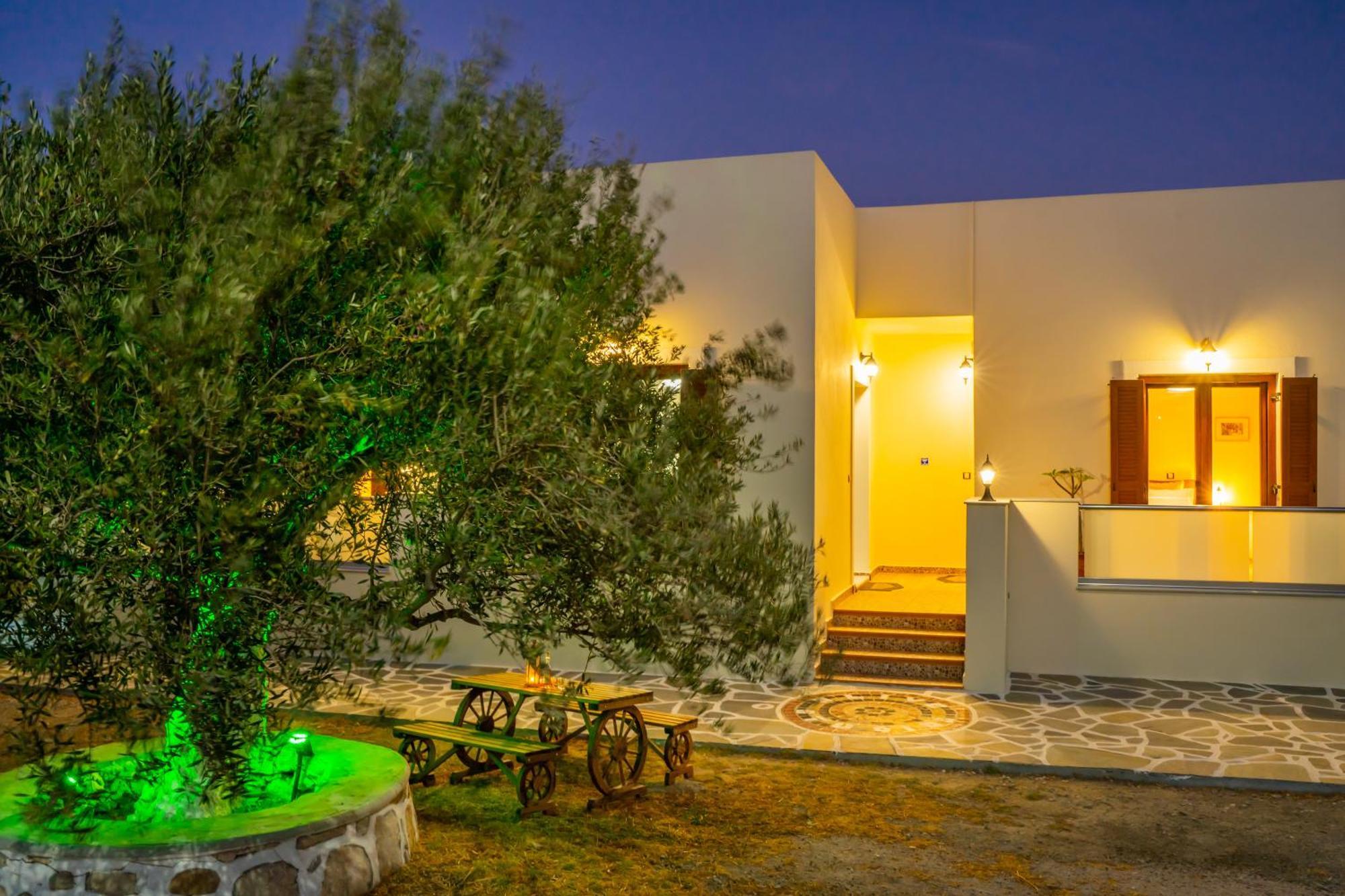 Olive Studios Karpathos Studio #4 Buitenkant foto