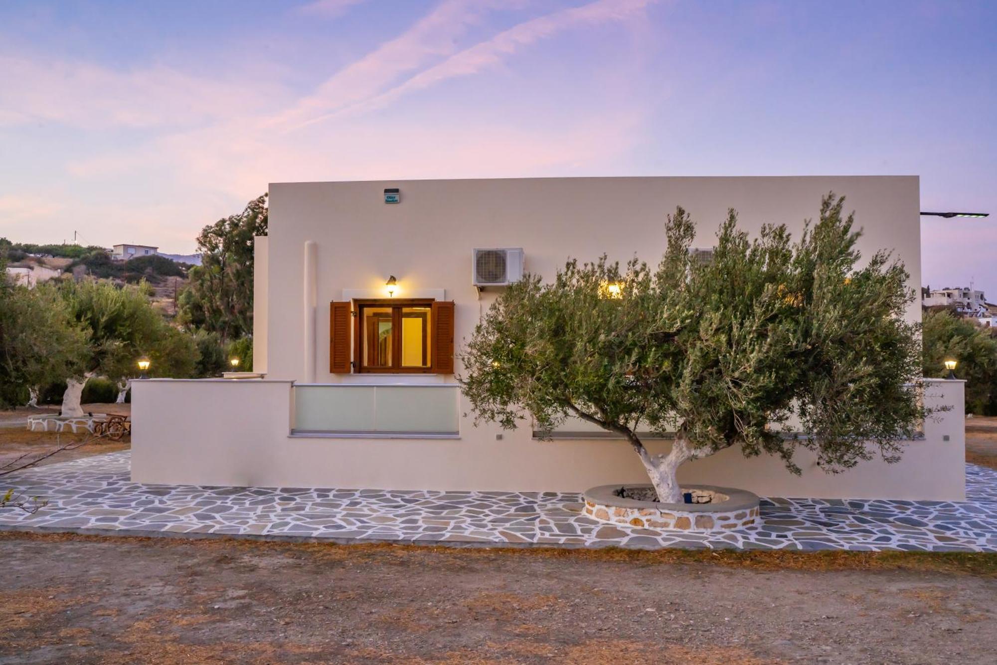 Olive Studios Karpathos Studio #4 Buitenkant foto