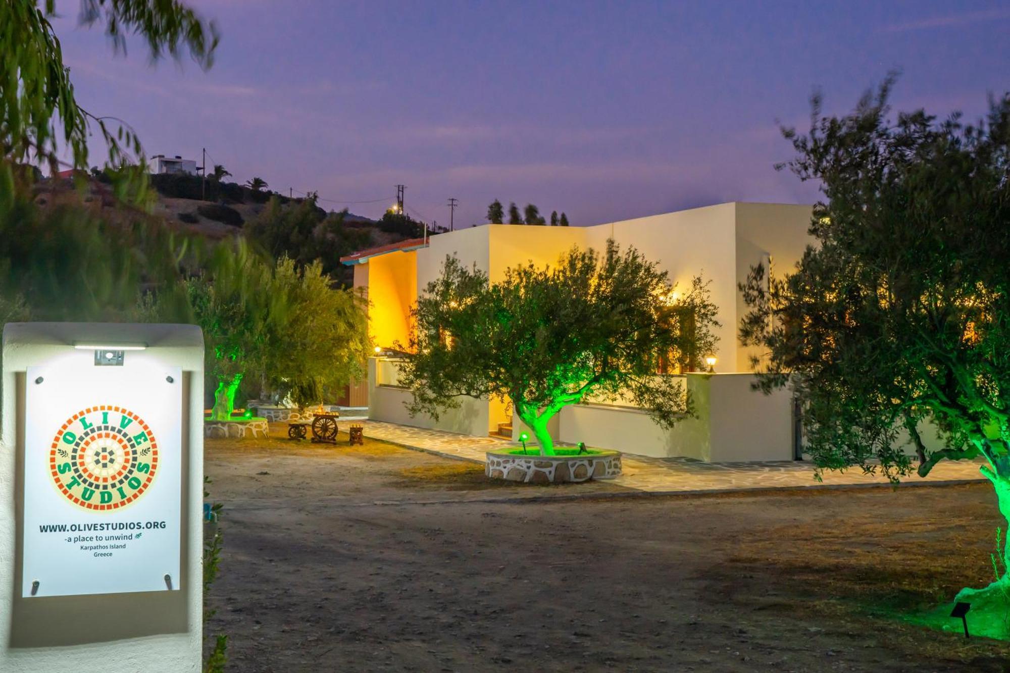 Olive Studios Karpathos Studio #4 Buitenkant foto